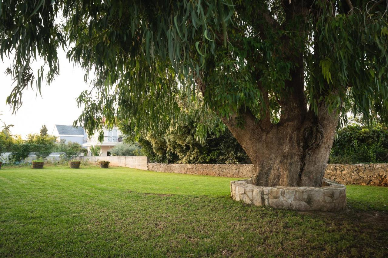 Cedar Tree Villa Kounoupidhianá 外观 照片